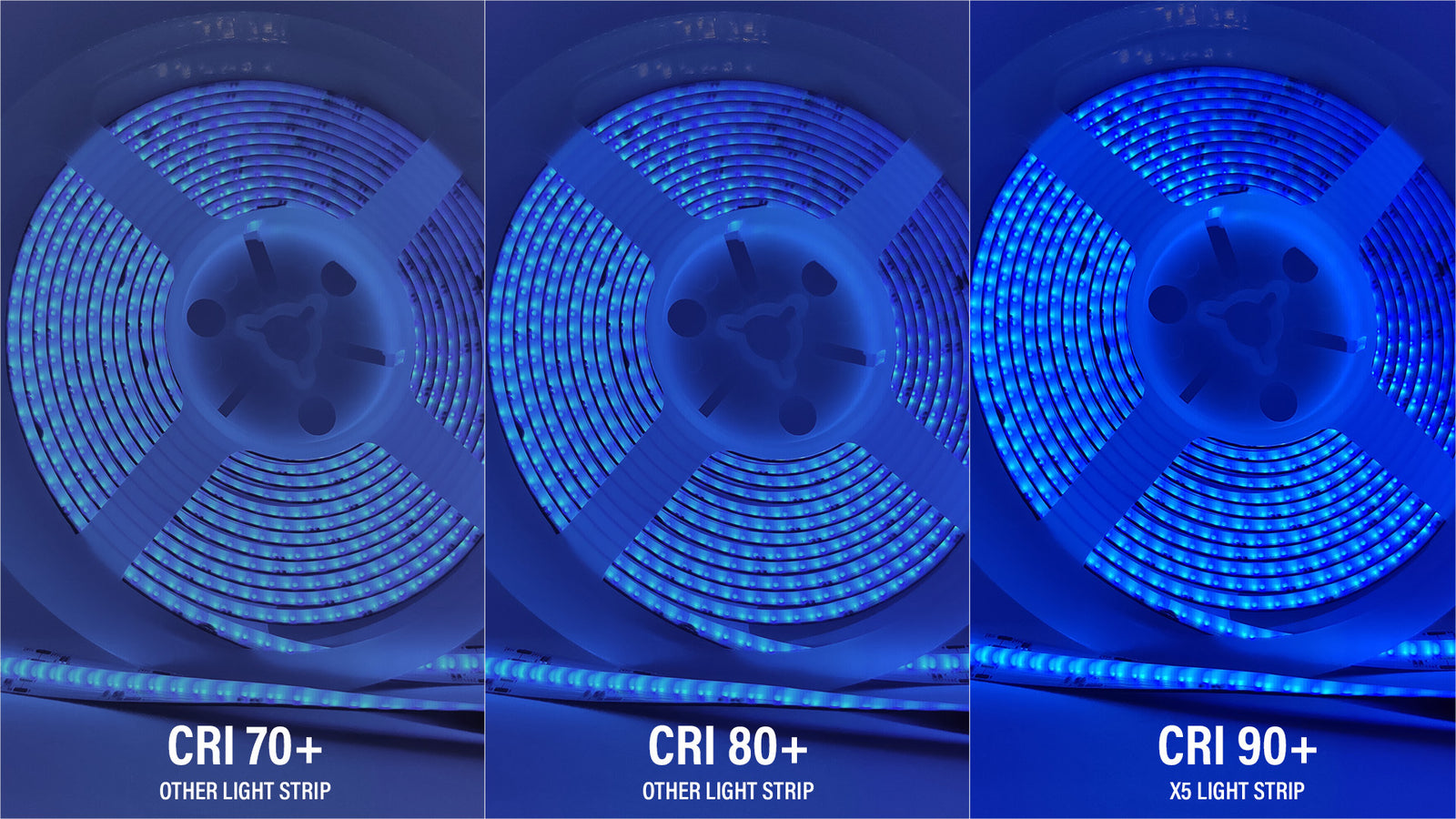 title:High Color Accuracy///desc:Engineered for true-to-life color rendering, our lighting options deliver high CRI for natural tones and vibrant detail in any setting.